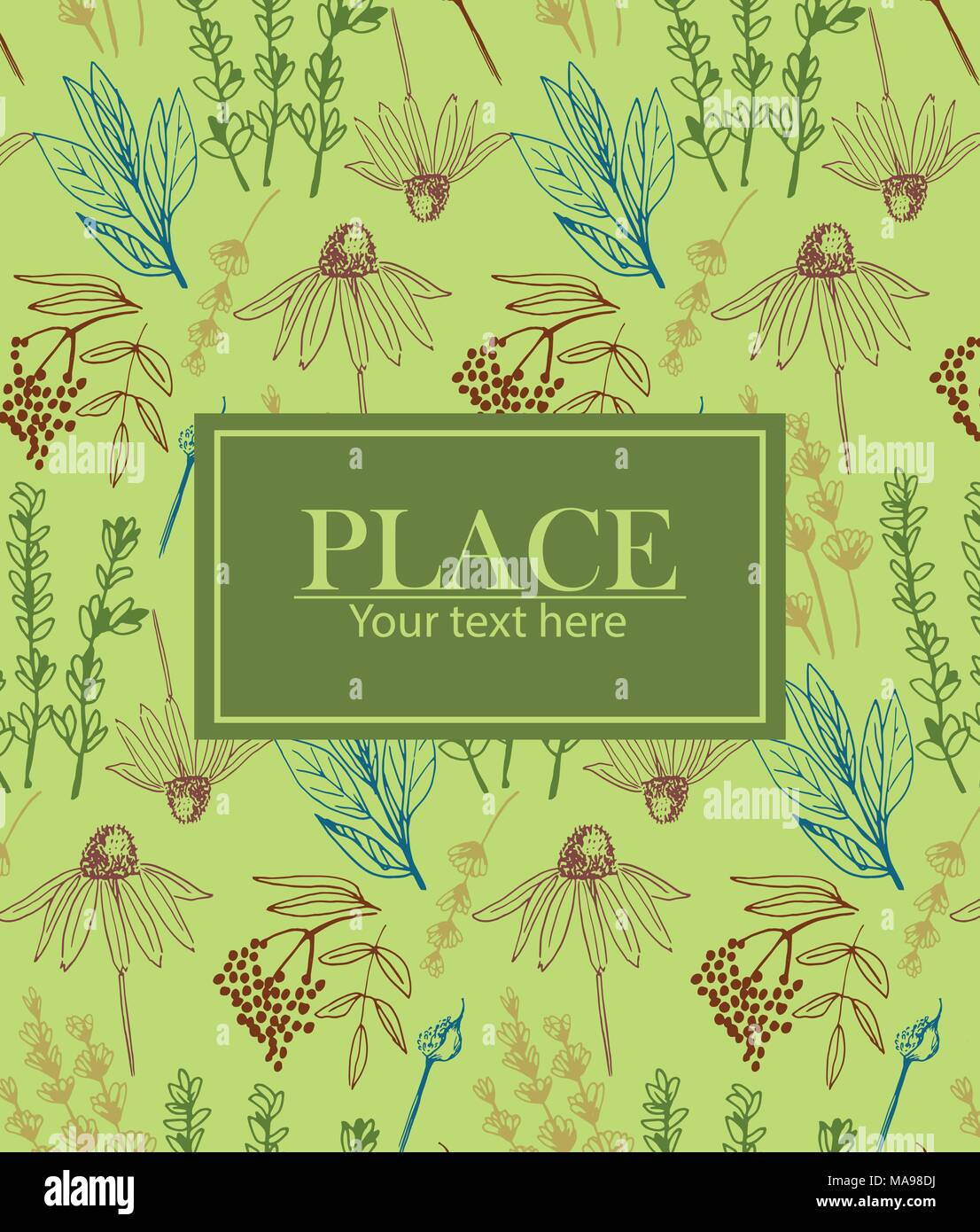 Herbs and medicinal plants collection background Stock Vector Image