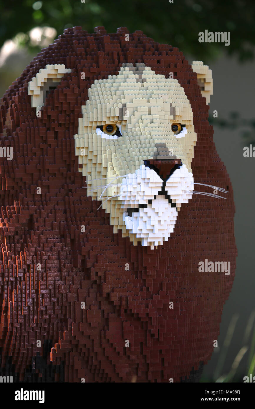 Lego lion hi-res stock photography and images - Alamy