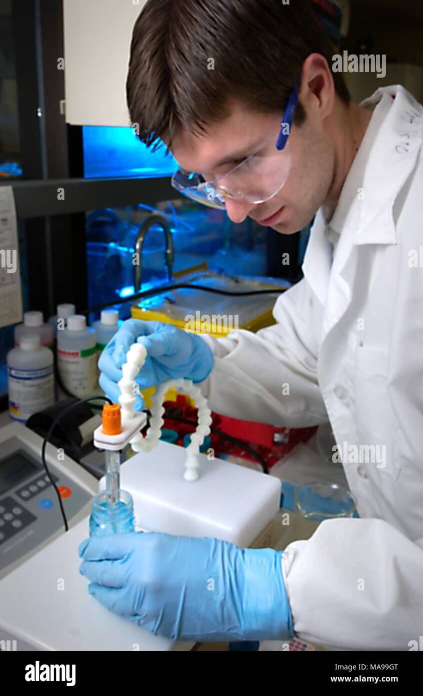 Centers for Disease Control (CDC) laboratorian Jason Tully calibrating a pH meter in the Personal Care Products Laboratory (PCPL), 2004. Image courtesy Centers for Disease Control / Susan McClure. () Stock Photo