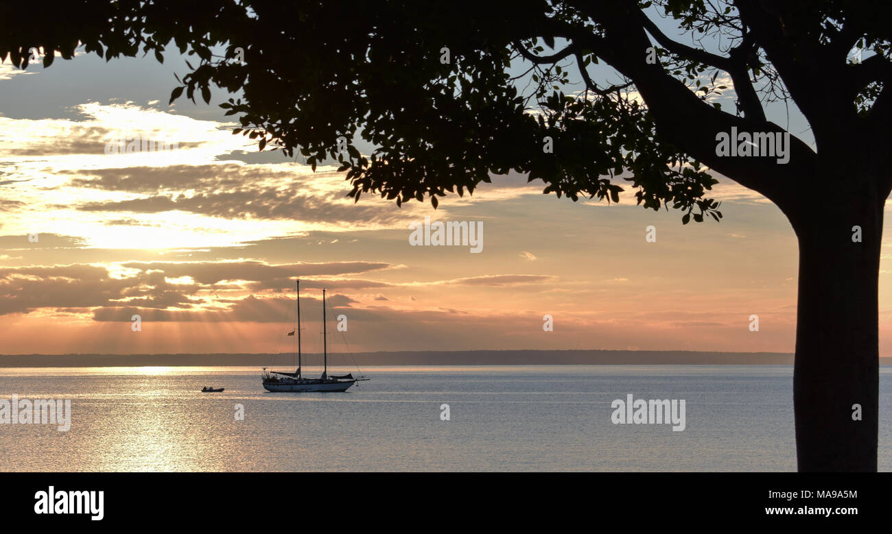 Silhouetted boat with tree Stock Photo