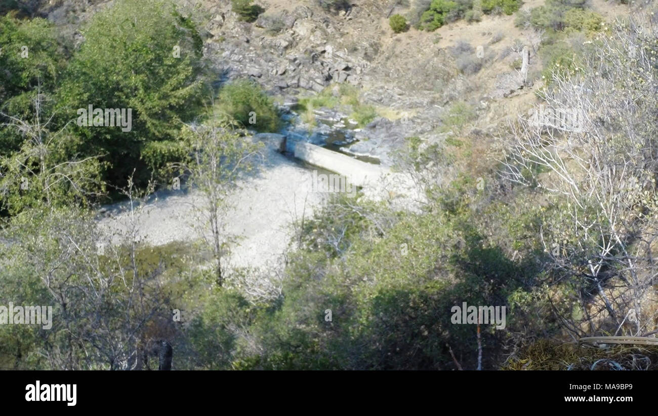 Diversion Dam Removal Improves Habitat for Migrating Fish in Tehama