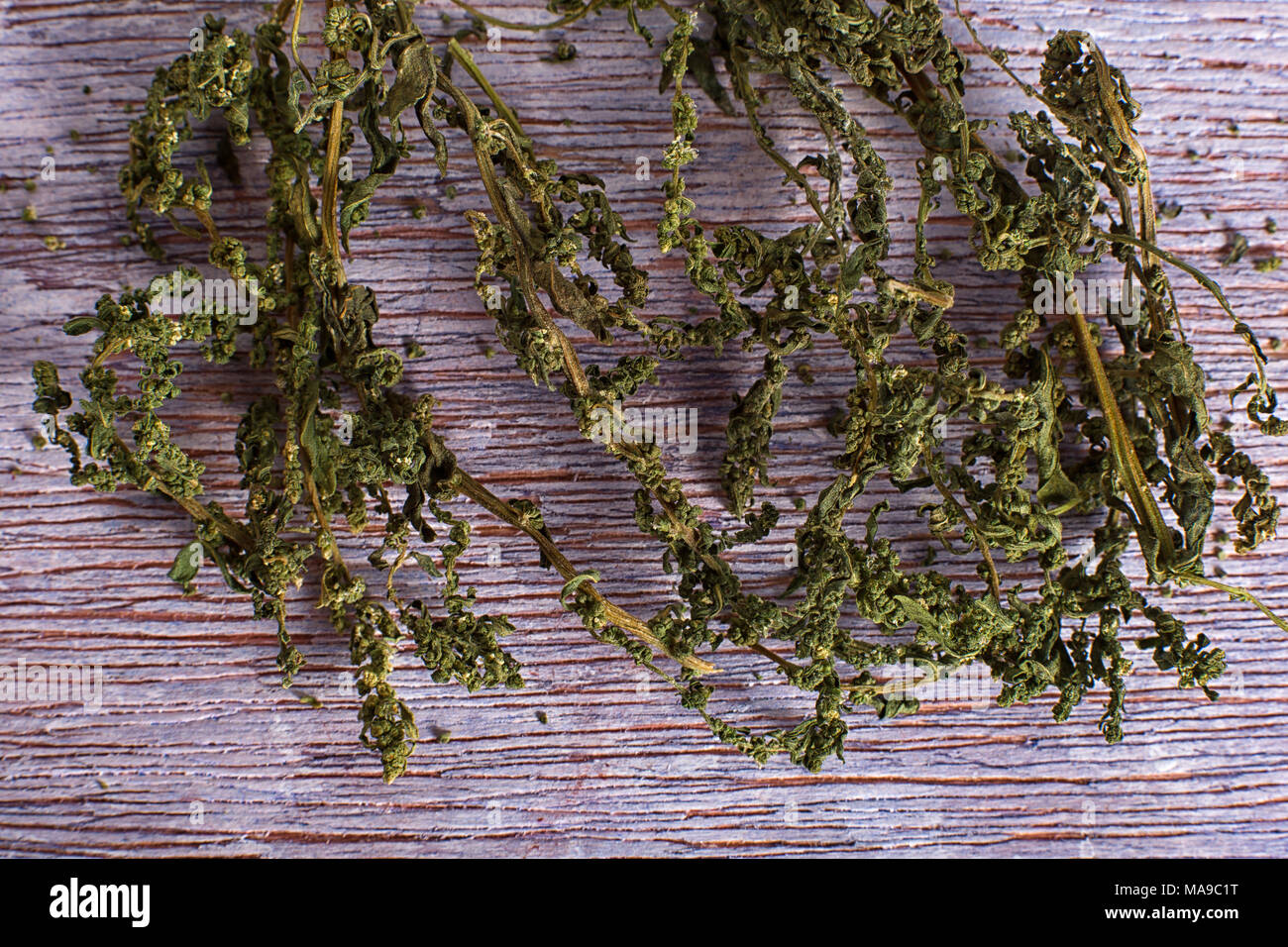 dried wormseed herb Stock Photo