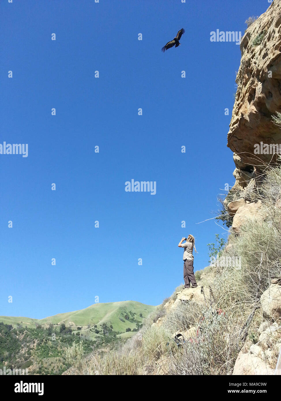 Condor Ridge High Resolution Stock Photography and Images - Alamy