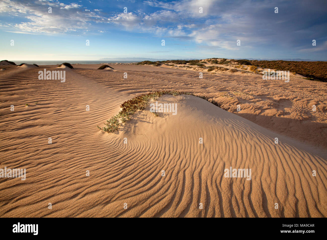 Nipomo California Stock Photos & Nipomo California Stock Images - Alamy