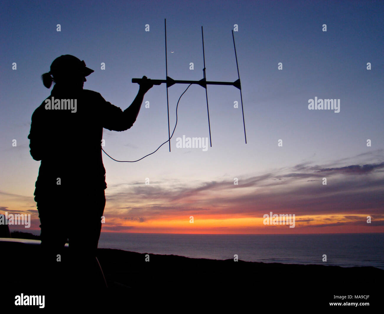 Important research. A sea otter researcher with USGS tracks a radio-tagged sea otter near Morro Bay. Stock Photo