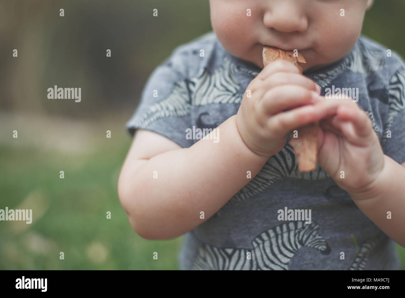 Tight crop of baby boy with a dry leaf in his  mouth Stock Photo