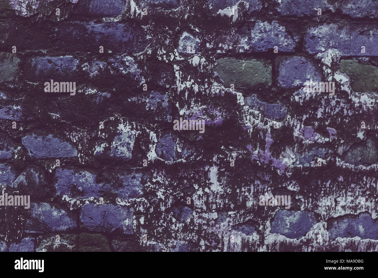 Grunge wall of the old house. Old wall textured background. Dilapidated wall covered with mold and moss in an abandoned house. Blue bricks in the wall Stock Photo