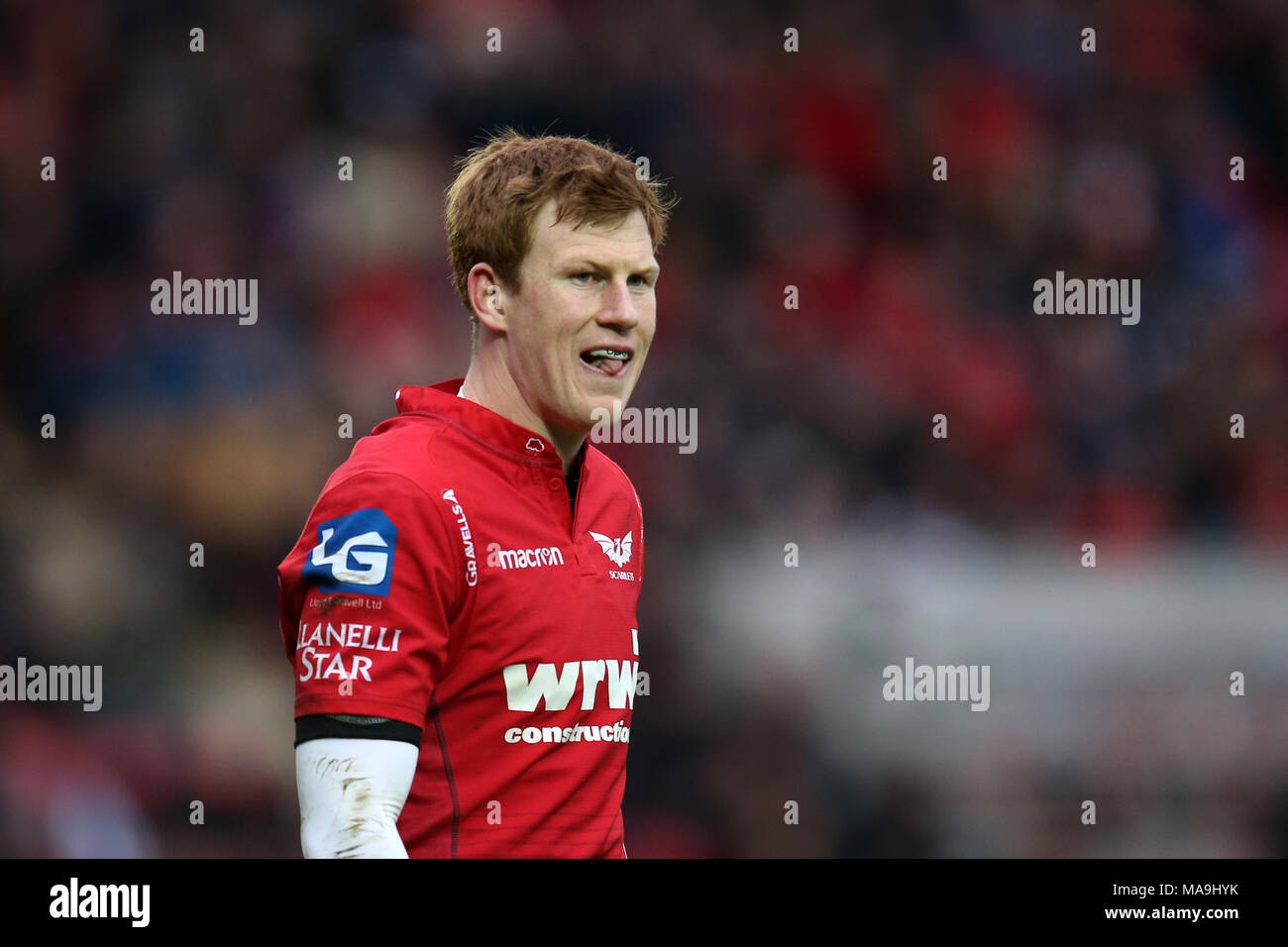 Stade rochelais champions cup hires stock photography and images Alamy