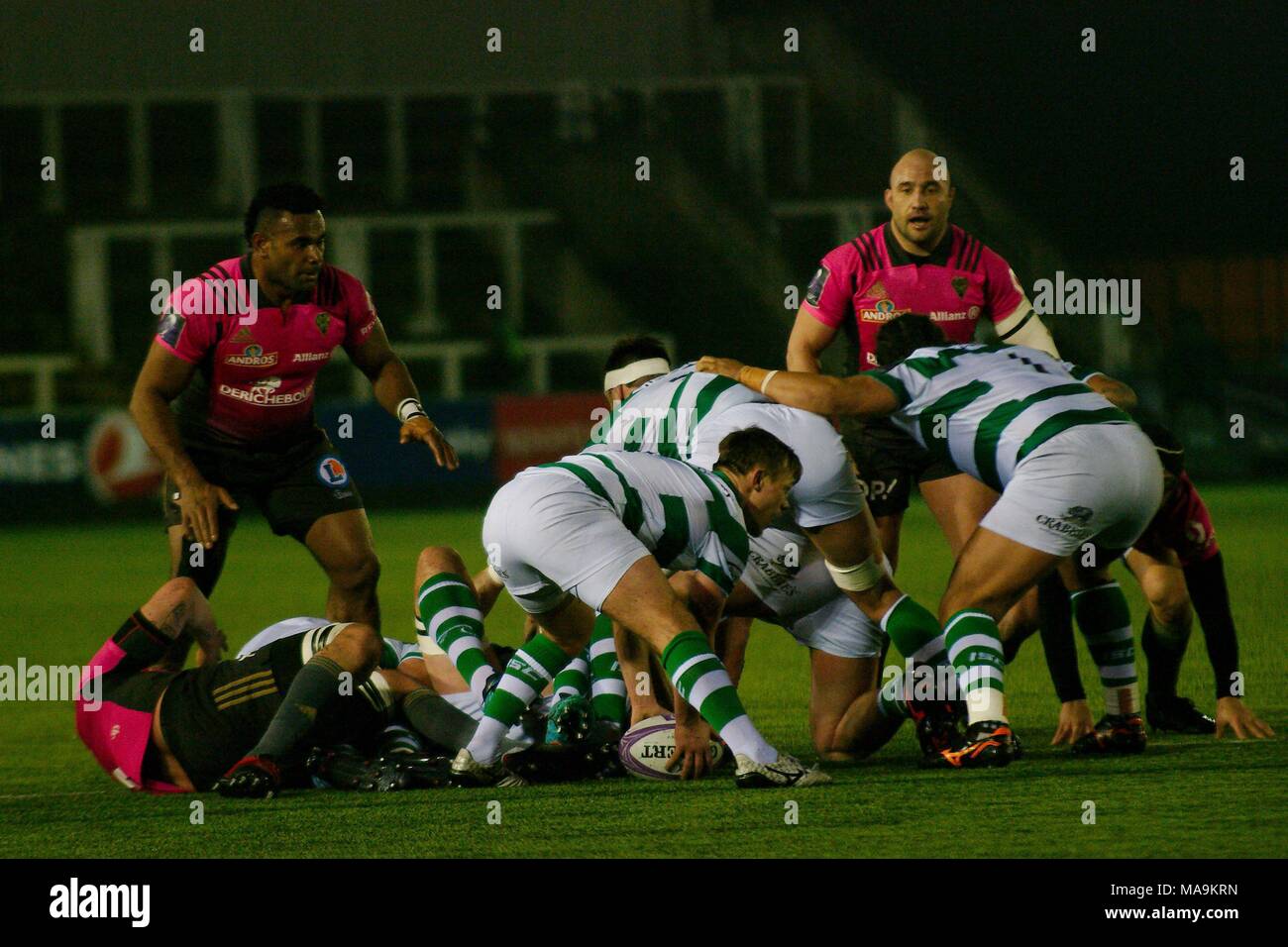 Newcastle upon Tyne, England, 30 March 2018. Sam Stuart, scrum half, picking the ball up for Newcastle Falcons against Brive in the European Challenge Cup quarter finals at Kingston Park. Credit: Colin Edwards/Alamy Live News. Stock Photo