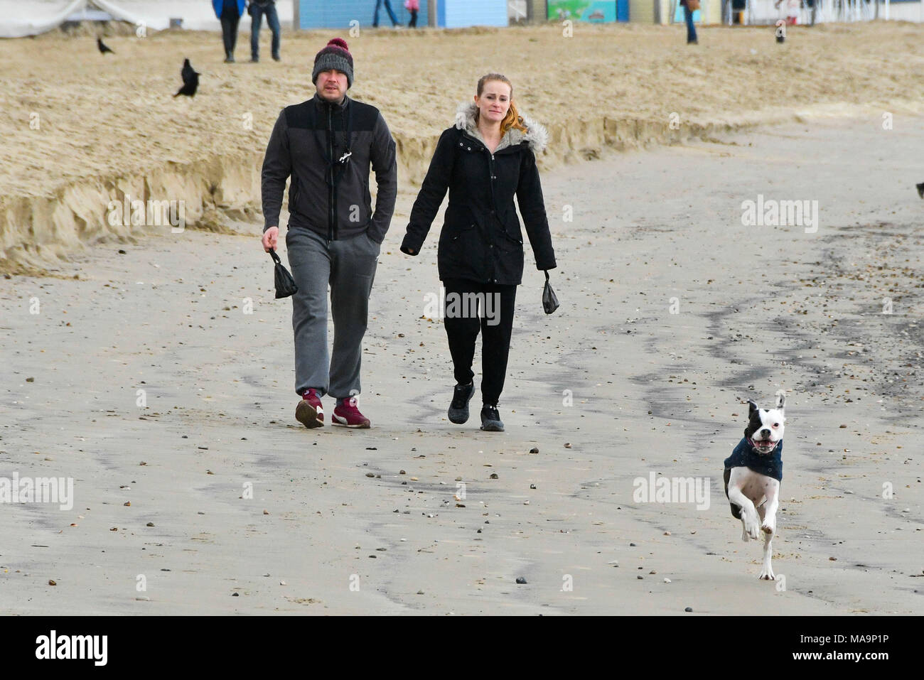 Weymouth, Dorset, UK. 31st March 2018. UK Weather. Dog walkers on the