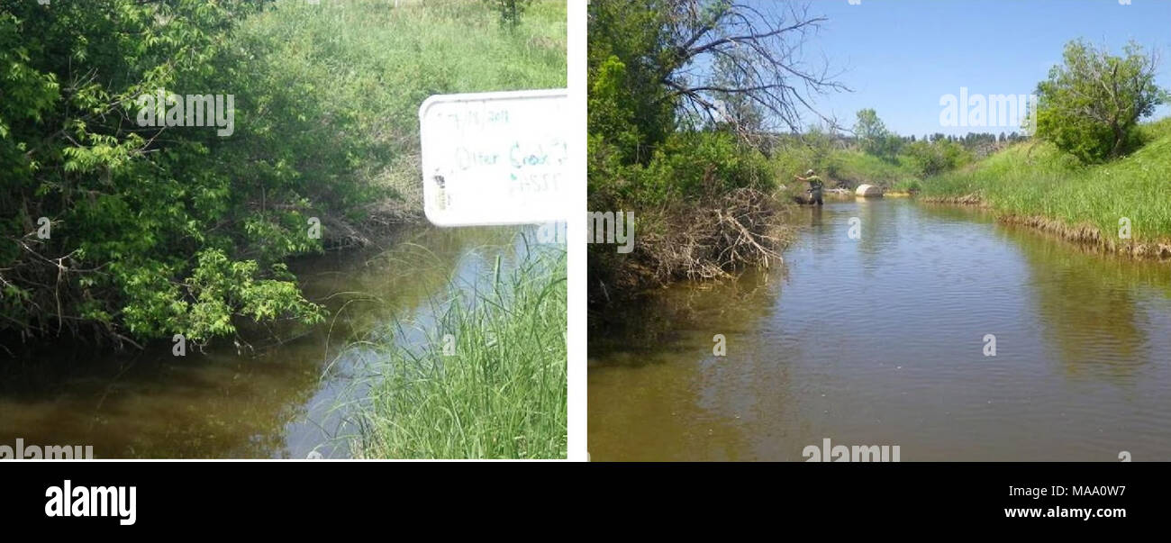 . 2012 survey assessments and analysis of fish, macroinvertebrates and herpetofauna in the Otter Creek coal tracts area of Powder River County . Northwestern Great Plains Intermittent Prairie Stream-{AES code D005)-l) Home Creek lA, 2) Tenmile Creek, 24 Stock Photo