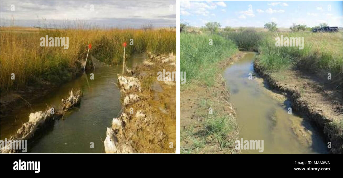 . 2012 survey assessments and analysis of fish, macroinvertebrates and herpetofauna in the Otter Creek coal tracts area of Powder River County . Site Photos Otter Creek #16 (impact) spring visit: pool (left) and shallow stream crossing (right). Stock Photo