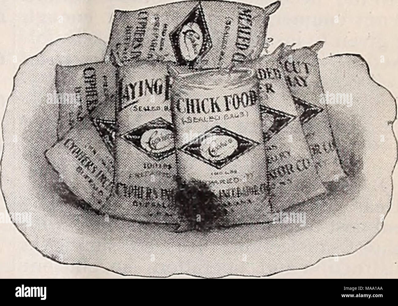 . The Eastern poultryman . Va ; T. E. Orr, Pa ; Mrs. C J. Grenache, Wash ; Chas. W. Richardson, R. I ; M. McCormick, D. C ; Mrs. H. F. Meloy, Okla ; F. O. Groesbeck, Conn ; and Seth Jones, N. B. During the past year the club has is- sued a handsome catalogue of 144 pages, containing valuable reading matter and advertisements of the members only. The club offered I250.00 in cash specials at the Rochester meeting, which brought out probably the best and largest class of White Wyandottes shown this year. Special ribbons have been offered at nearly every poultry show this winter, and silver cups w Stock Photo