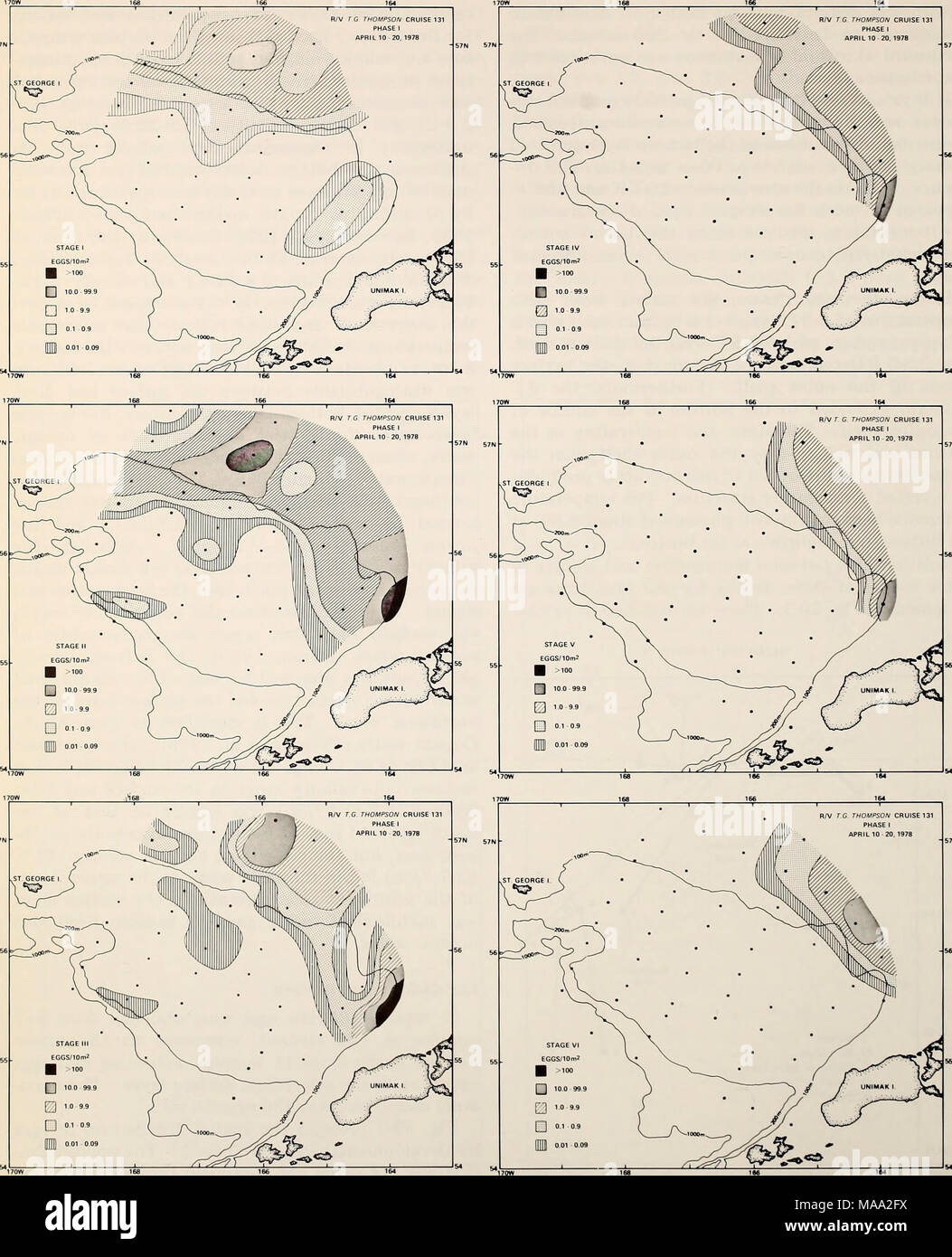 Pollock Fish Map Walleye pollock hi-res stock photography and images - Alamy