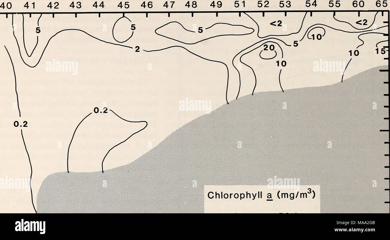 . The Eastern Bering Sea Shelf : oceanography and resources / edited by Donald W. Hood and John A. Calder . Chlorophyll a (mg/m ) 0 L 50 km  l Figure 58-14. Chlorophyll a (mg/m^) cross section in outer Bristol Bay south of the Pribilof Islands (PROBES Thomas G. Thompson cruise 138 leg 3, 29-31 May 1979). of ammonium oxidation in these waters. The simul- taneous use of *^N and ^^P to measure ammonium production, ammonium oxidation, and phosphate release rates should provide the information need- Stock Photo