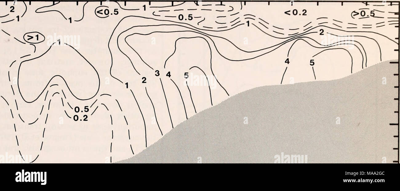 . The Eastern Bering Sea Shelf : oceanography and resources / edited by Donald W. Hood and John A. Calder . AMMONIUM (mq at N/l) /  0 50 km  i Figure 58-8. Ammonium (yug at N/l) cross section in outer Bristol Bay south of the Pribilof Islands (PROBES Thomas G. Thompson cruise 138 leg 3, 29-31 May 1979). discussed earlier, confirm the slow regeneration of nitrate in Bering Sea subsurface waters. The steep pycnocline hinders the vertical diffusion of water and dissolved materials and slows the sinking of particu- late matter (Fig. 58-12). The high concentrations of ammonium in the subsurface la Stock Photo