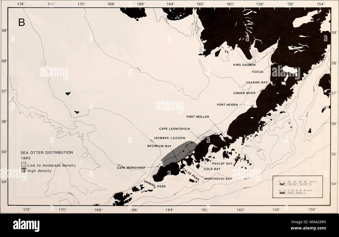 . The Eastern Bering Sea Shelf : oceanography and resources / edited by