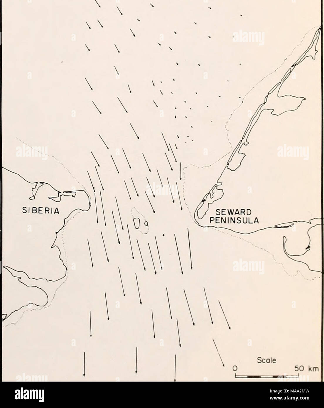 . The Eastern Bering Sea Shelf : oceanography and resources / edited by Donald W. Hood and John A. Calder . 50 km Figure 46-2. Displacement vectors of individual ice floes in the Bering Strait region for the interval March 6-7, 1973. Scale of vectors is indicated on map. Dotted lines indicate seaward margin of fast ice (from Shapiro and Burns 1975b, Fig. 3, p. 382). Stock Photo