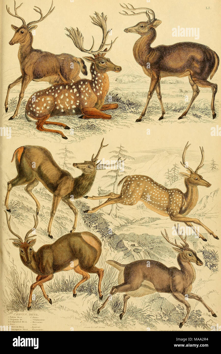 Page 2 Tf W High Resolution Stock Photography And Images Alamy