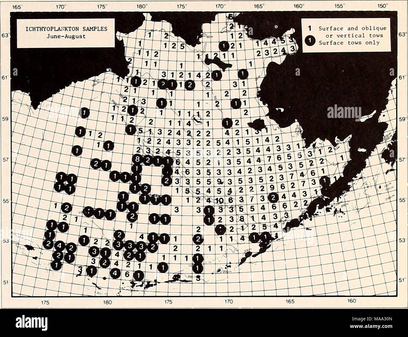 . The Eastern Bering Sea Shelf : oceanography and resources / edited by Donald W. Hood and John A. Calder . Figure 30-3. Number of stations at which ichthyoplank- ton samples have been collected in summer, June-August. 1 ICHTHYOPLANKTON SAMPLES WK^T- 5 ? 1 1 1 11 6 H Uecember-February UTt-Lh-i 1 ^&quot; ^^^^B* tâ. KTTrn^ - - -1 +44-1^ 11 ^^^^^^^^^^^^^^^HmLj rttTT&quot; ^ k* Xh-h^I^^^ ^ -^^^^^^^^H ' ^ 1 ,&gt;1^^^^^W^Â» 1 -1 4-t{^^HiiiiiMI-' 'f^tjjiJif!^^ ^' â ^^, i T-4-sriT-i^^ ^ ^ 1*-L^r^^^^B^H^ 7 |i|i â *, ' -T wrnj^^^^^Rr 5 31 2 U -44-HTmprmBrl ^ .'^1 1 ' 44-FHAxi+-^Klll ' ^X Stock Photo