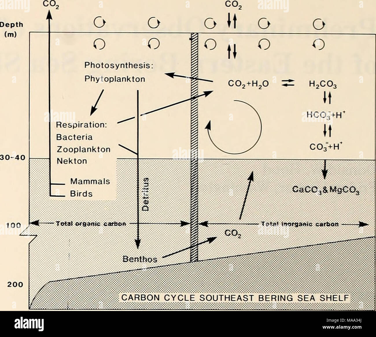 the-eastern-bering-sea-shelf-oceanography-and-resources-edited-by