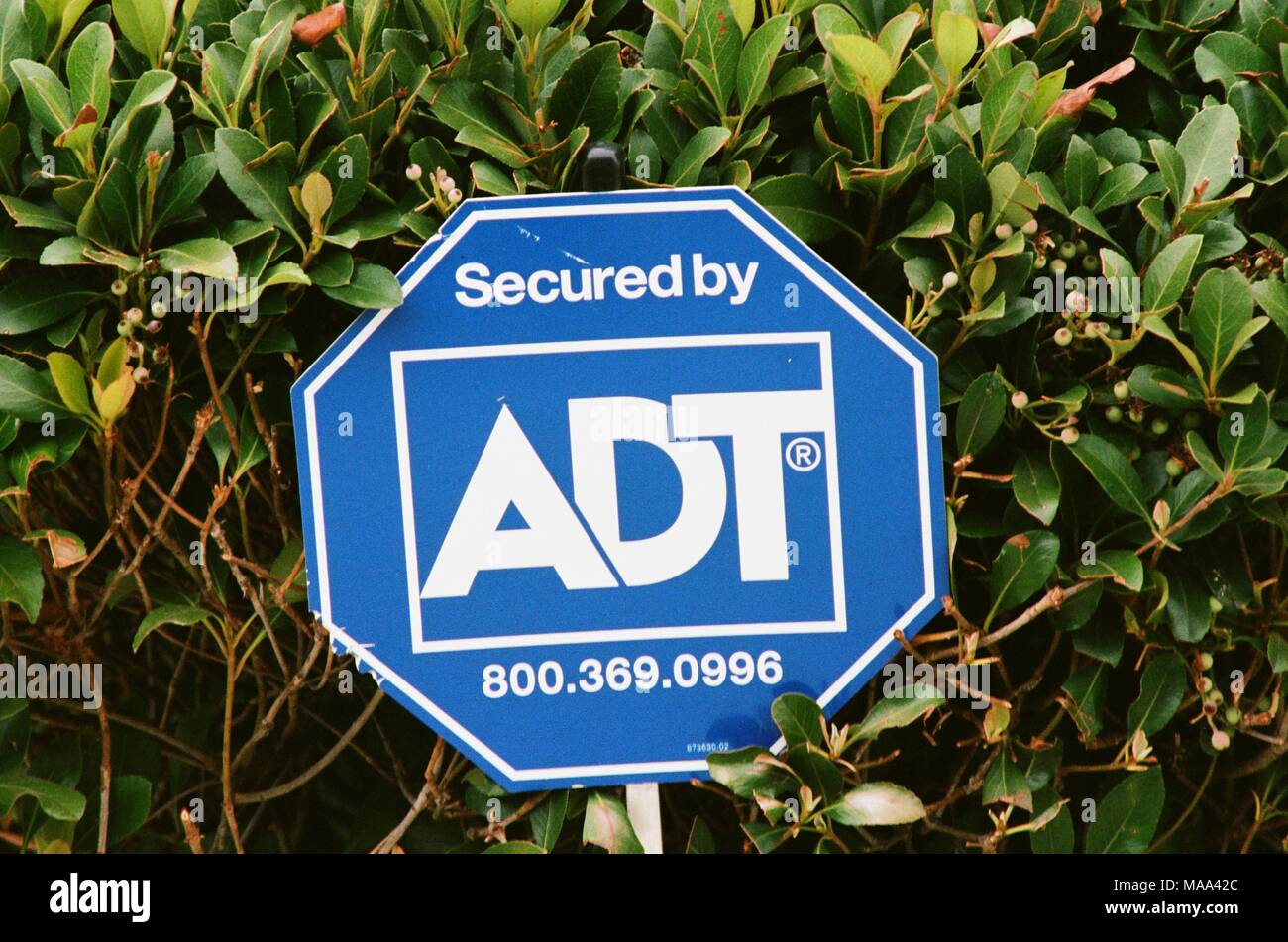 Close-up of sign with logo for ADT Security Corporation, a residential and business alarm system provider, in San Ramon, California, September 17, 2017. () Stock Photo