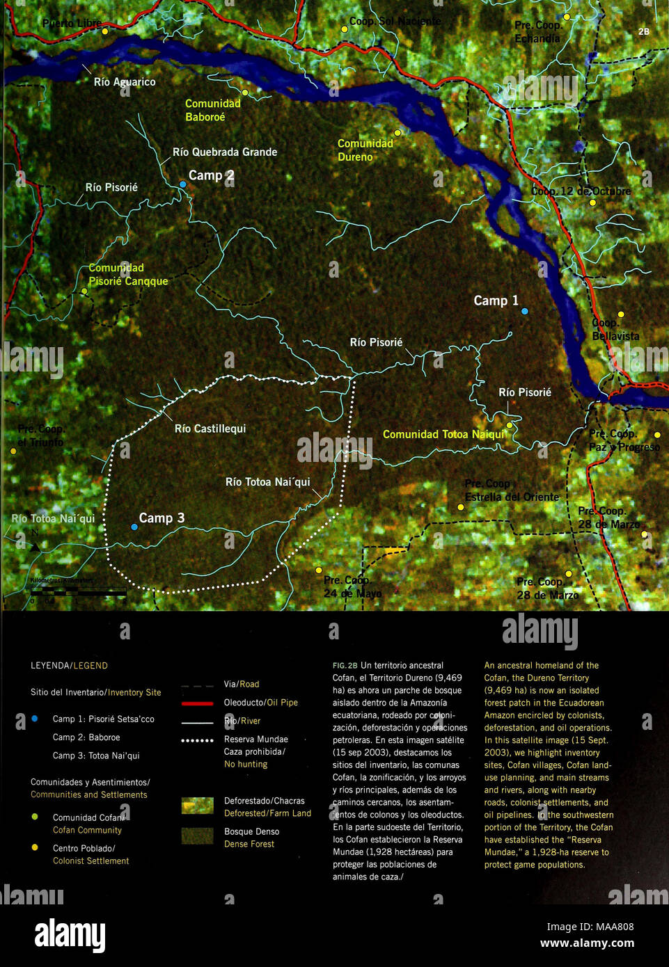 . Ecuador : Territorio Cofan Dureno . Via/Road Oleoducto/Oil Pipe Rio/River Reserva Mundae Caza prohibida/ No hunting Deforestado/Chacras Deforested/Farm Land Bosque Denso Dense Forest FIG.2B Un territorio ancestral Cofan, el Territorio Dureno (9,469 ha) es ahora un parche de bosque aislado dentro de la Amazonia ecuatoriana, rodeado por coloni- zación, deforestación y operaciones petroleras. En esta imagen satélite (15 sep 2003), destacamos los sitios del inventario, las comunas Cofan, la zonificación, y los arroyos y ríos principales, además de los caminos cercanos, los asentam- ientos de col Stock Photo