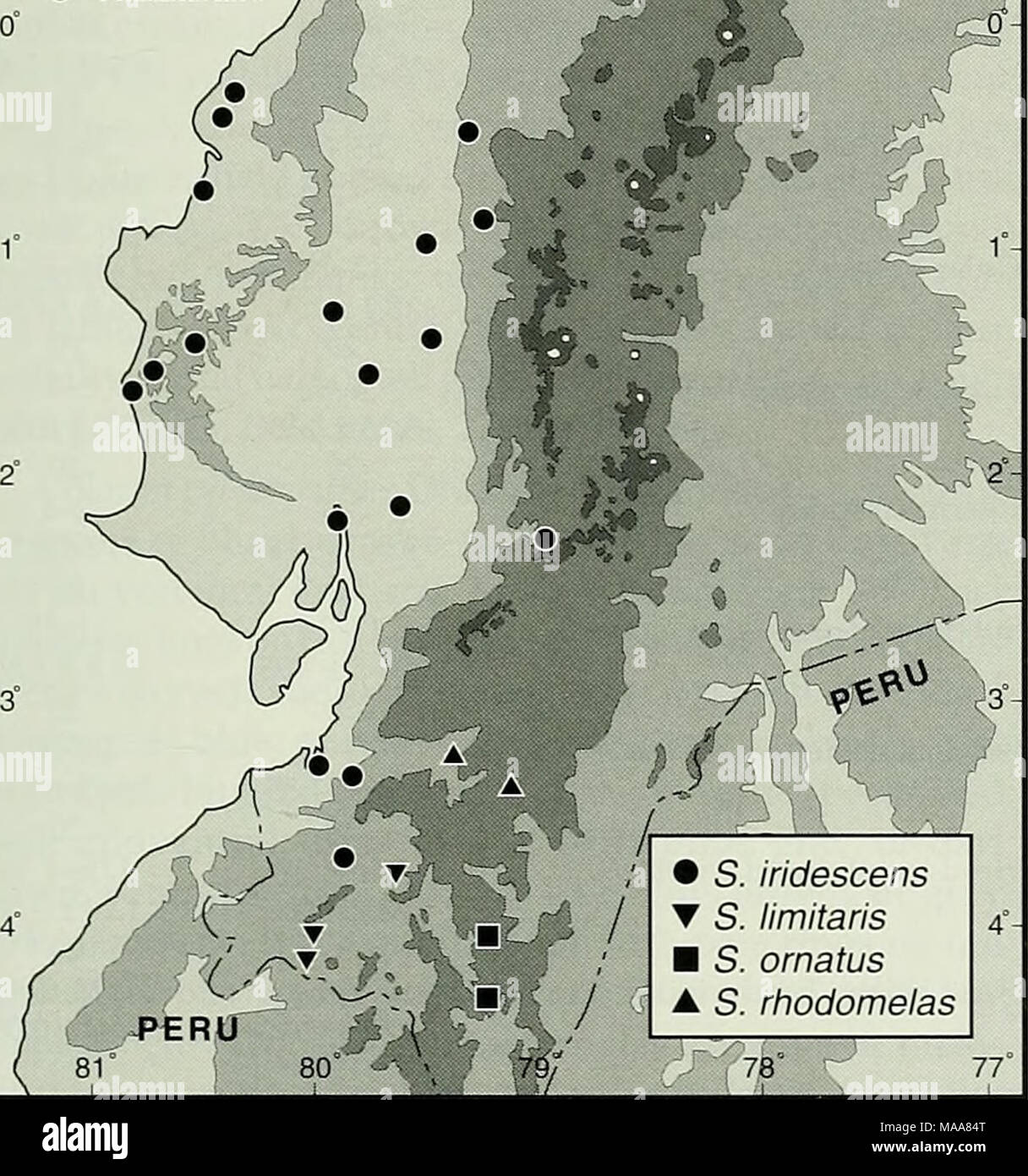 . Ecuadorian lizards of the genus Stenocercus (Squamata: Tropiduridae) . 1 â¢ S. Ihdescens 1 â¼ S. limitahs â S. ornatus A S. rhodomelas 77 l  Fig. 16. Distribution of four species of Stenocercus in Ecuador. Forest, and Very Humid Premontane Forest life zones. The mean annual temperature is 24-26 Â°C in the former two life zones, 24-25 Â°C in the third and 18-24Â°C in the latter two. The mean annual precipitation is 125-250 mm in the first one, 500-1000 mm in the second one, 1000-2000 mm in the third and fourth ones, and 2000^000 mm in the lat- ter one. This species also occurs in northwestern Stock Photo