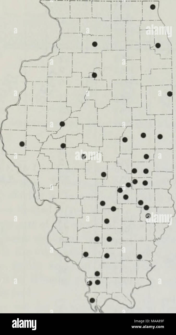 Ectoparasites of the cottontail rabbit in Lee County, northern Illinois .  Fig. i.—llaemaphysalis Icporis-palustris distribution in Illinois, based on  Illinois Natural History Survey records Stock Photo - Alamy