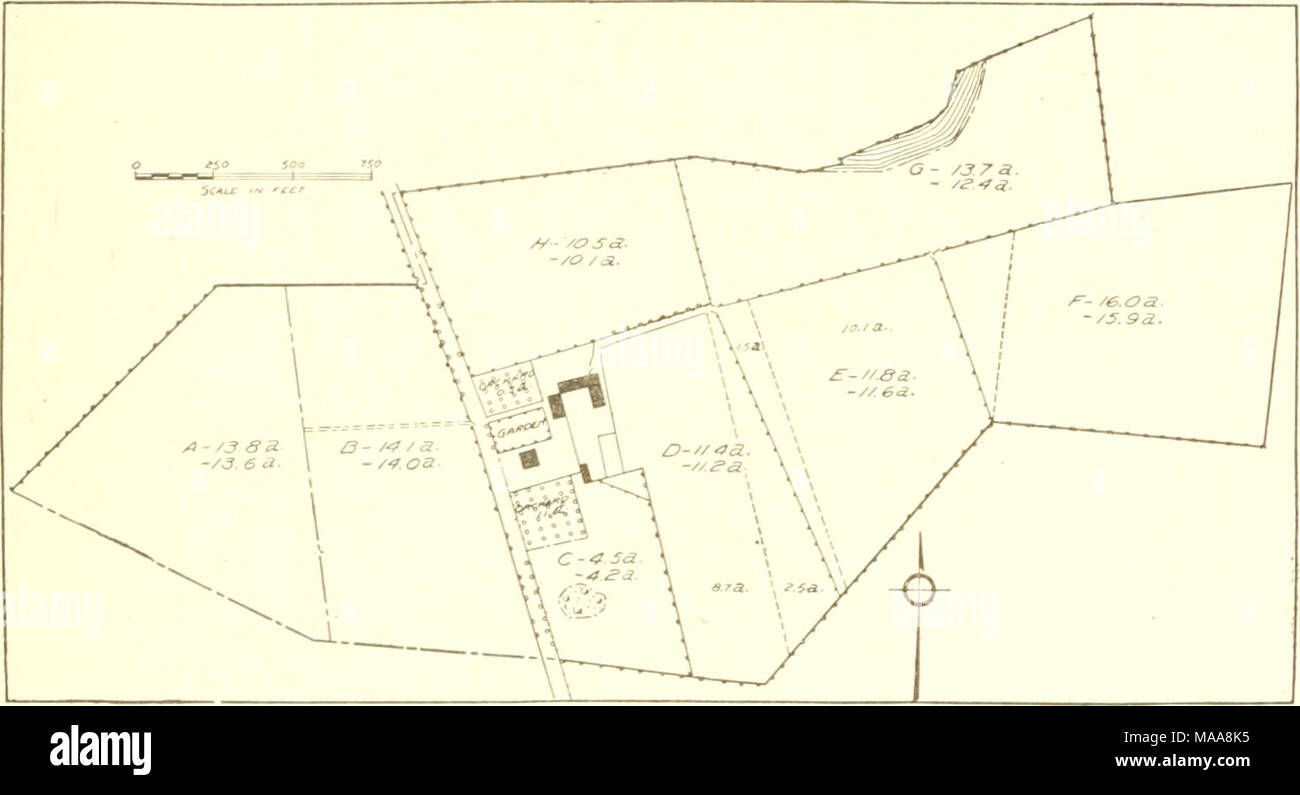 . An economic study of farm layout .. . Fig. 91. a crooked farm in southern new tork with irregular fields The crooked Vjoard fence between fields D and E makes 2.5 acres of short rows in field D and 1.5 acres of short rows in field E. By straightening the fence all the short rows in field E and most of those in field D could be eliminated, surv^eyed The crooked outline of the farm is due to the way in which this section was Farm area, 101.5 acres -Average size of farmed fields, ll.fi acres Average distance to farmed fields, 4S rods the farms were cleared. On the farms included in this investi Stock Photo