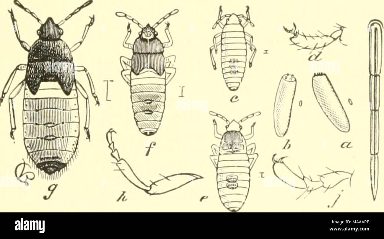 . Economic entomology for the farmer and the fruit grower, and for use ...