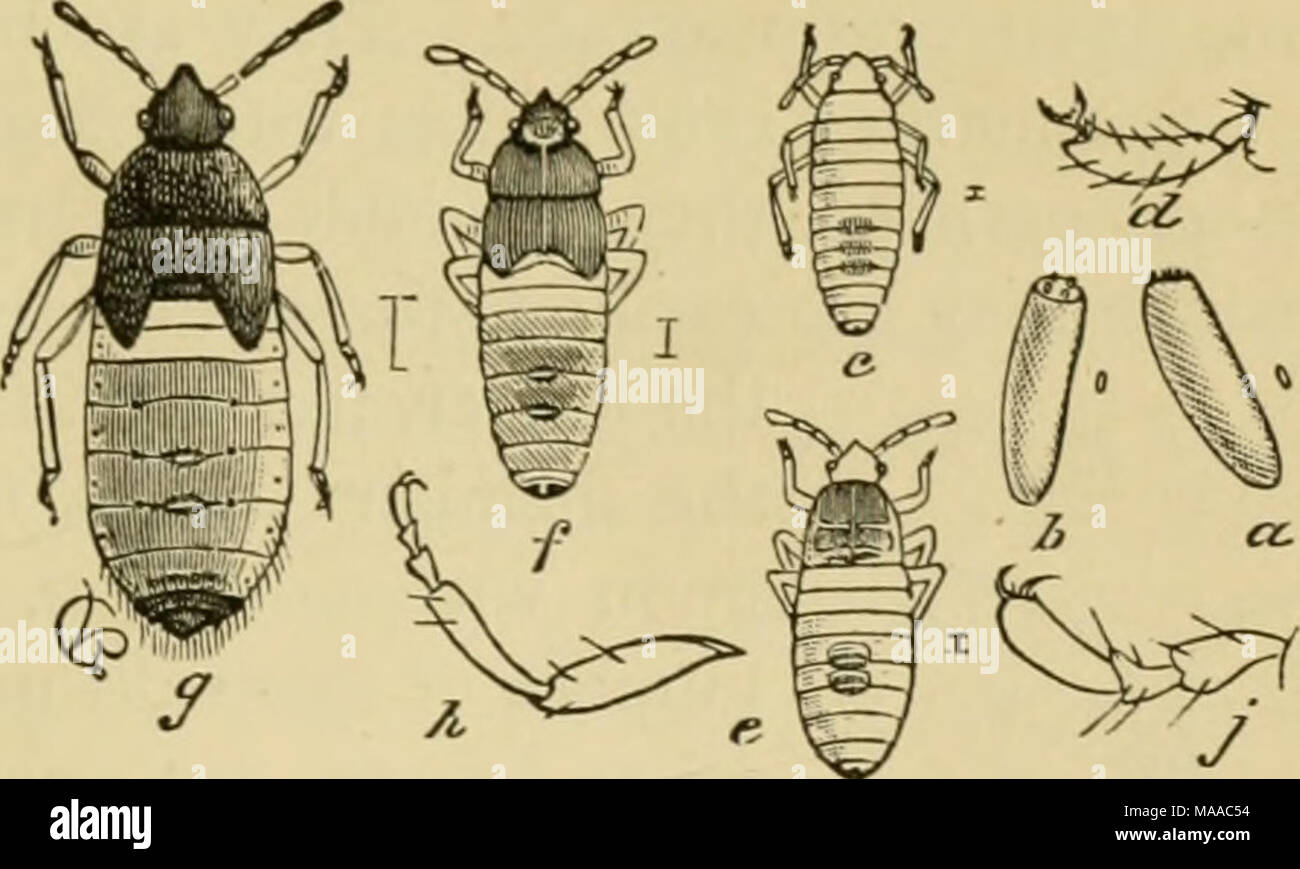 . Economic entomology for the farmer and the fruit grower, and for use ...