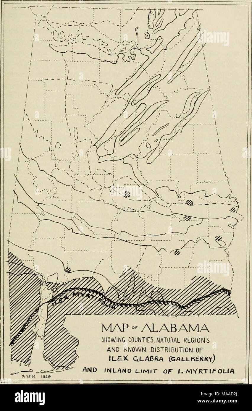 . Economic botany of Alabama . Map 21. Approximate distribution of Ilex glabra and inland limit of Ilex myrtifolia. Stock Photo