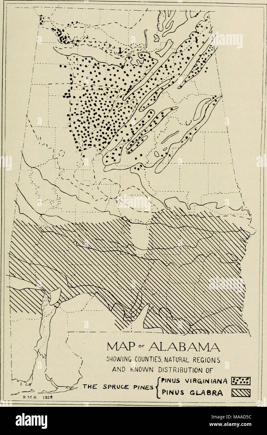 . Economic botany of Alabama . Map 8. Known distribution of Pinus Virgimana and Pinus glabra, with relative abundance ot the former indicated approximately by dots. Stock Photo