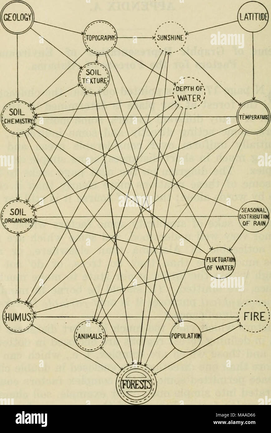 . Economic botany of Alabama . R.M.H 1313 Diagram showing relations of the most important environmental factors in Alabama to the forests and to each other. &quot;Soil organisms&quot; means all plants and animals, from bacteria and fungi to moles and salamanders, which live underground or in humus and have some influence on the soil. &quot;Animals&quot; means those which travel above ground and carry seeds or pollen, or feed on plants. &quot;Population&quot; refers primarily to density of population, a simple factor. Stock Photo