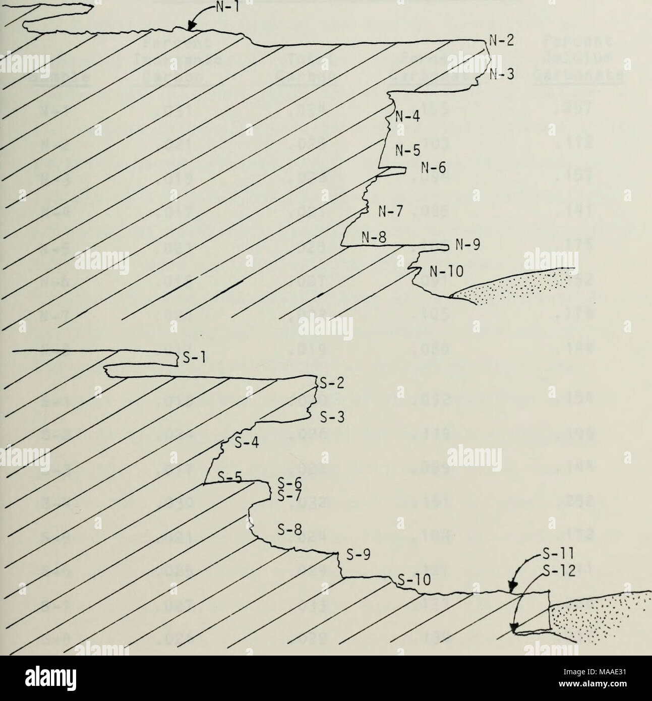 . The ecology of the benthic and endolithic communities of a rocky reef ...