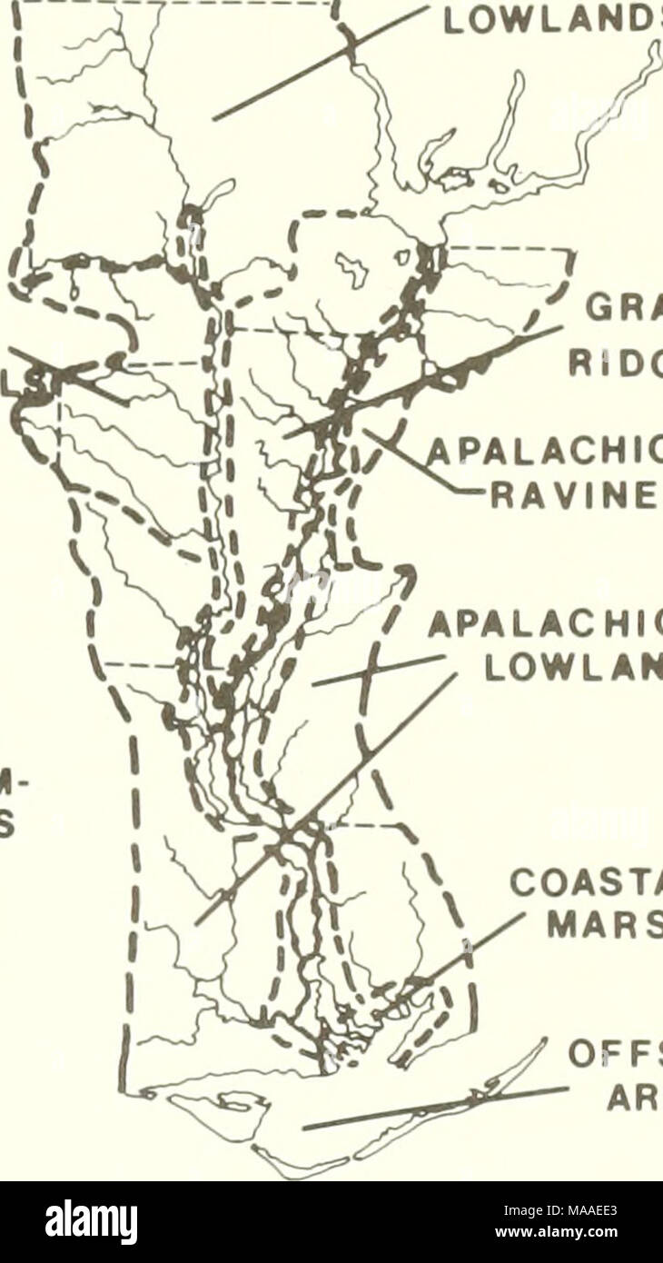 . The ecology of the Apalachicola Bay system : an estuarine profile . / APALACHICOLA LOWLANDS  COASTAL ^ ^ MARSHES OFFSHORE AREAS Figure 7. Natural areas Apalachicola basin based physiography, vegetation types, geography, and distribution of (after Means 1977). of the on the regional organisms Stock Photo