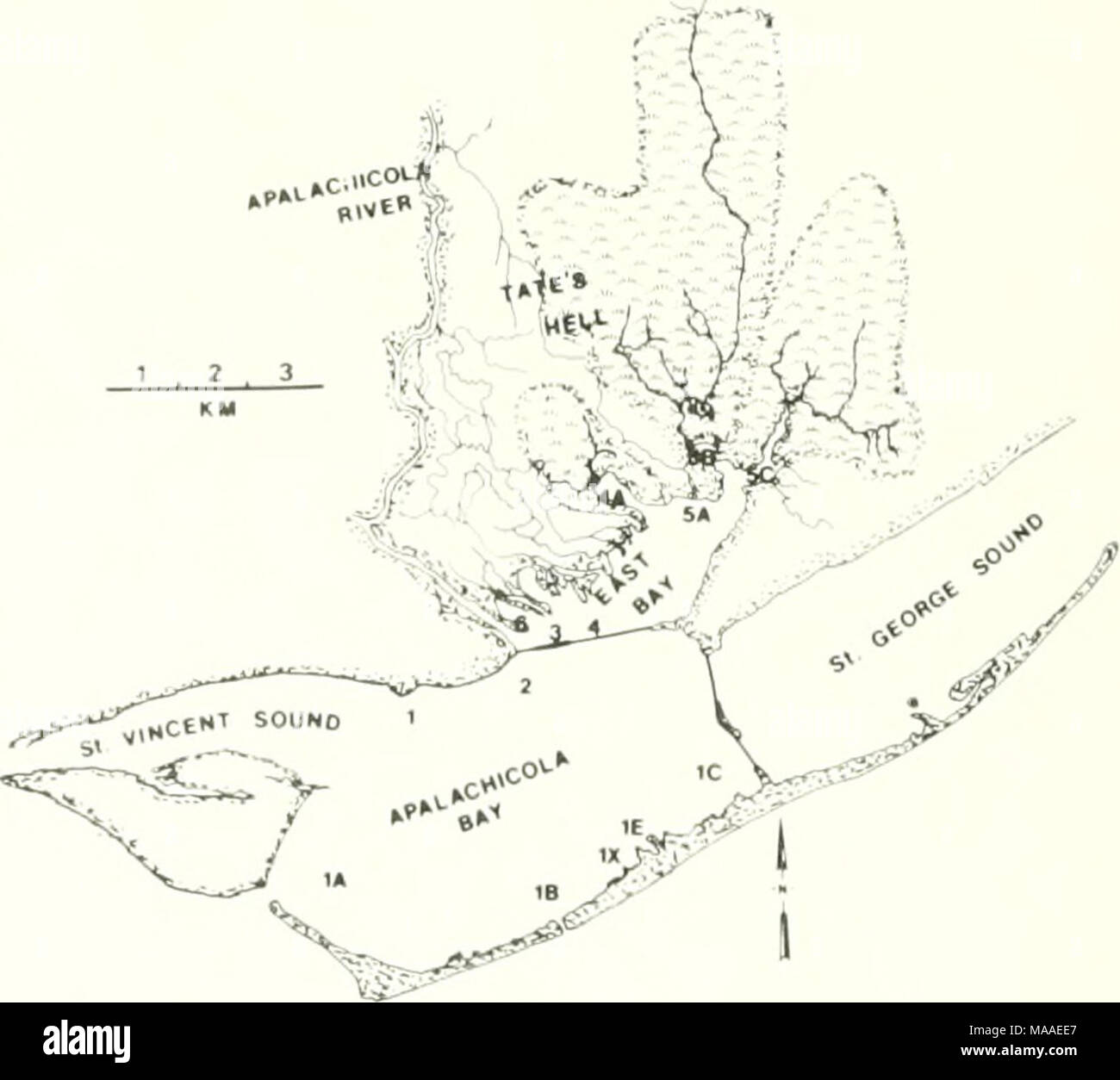 . The ecology of the Apalachicola Bay system an estuarine profile