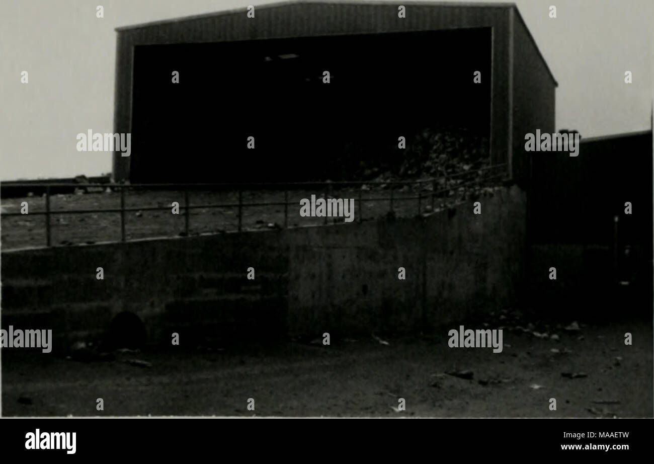 . Ecology and control of the principal flies associated with a compost ...