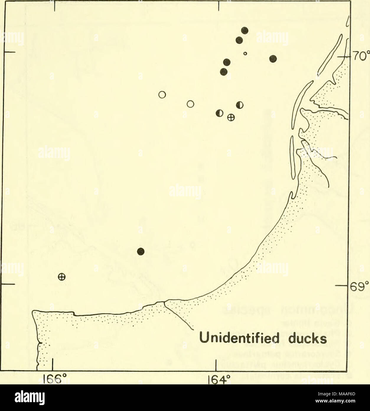 . An Ecological survey in the eastern Chukchi Sea : September-October 1970 . Figure 11.—Distribution of unidentified ducks seen at a distance in the studr area, 22 September-17 October 1970. See also Figures 7, 8 and 14. 139 Stock Photo