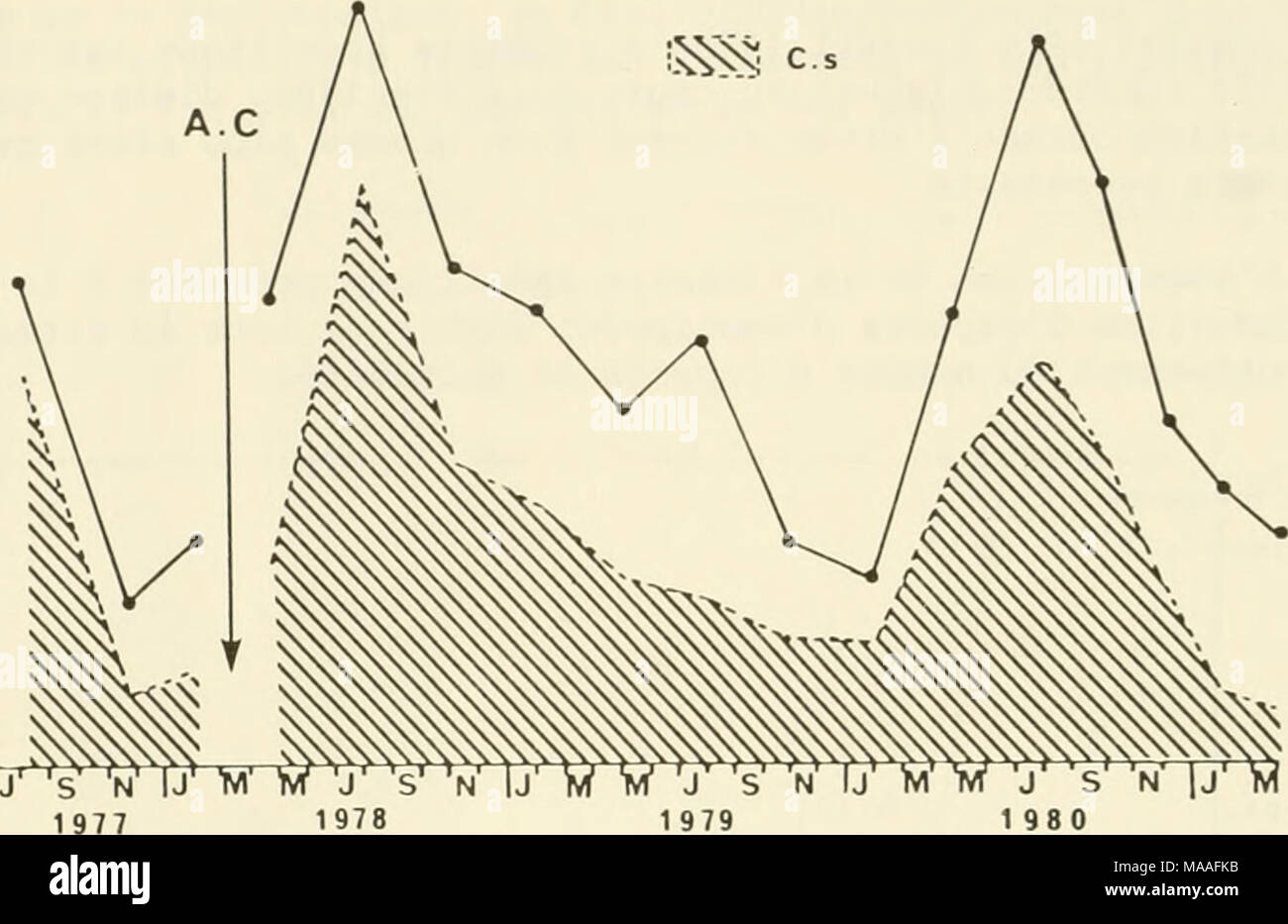 . Ecological study of the Amoco Cadiz oil spill : report of the NOAA-CNEXO Joint Scientific Commission . 1979 1980 Figure 11 - Peuplement des vases sableuses a Abra alba - Melinna palmata : evolution de la densite totale d'aout 1977 a mars 1981 avec mise en evidence de la part de Chaetozone setosa (C.s.) (A.C. : debut de la pollution par les hydrocarbures de 1'&quot;Amoco Cadiz&quot;). Au cours du second cycle, la densite redevient voisine de celle du cycle normal, puis augmente a nouveau durant le troisieme cycle : 3724 individus par m2; cette derniere valeur s'explique par le haut niveau d'a Stock Photo
