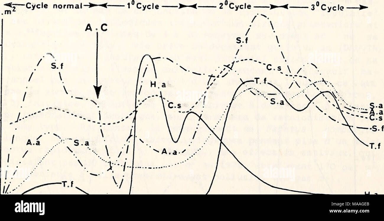 . Ecological study of the Amoco Cadiz oil spill : report of the NOAA-CNEXO Joint Scientific Commission . m m T y 'n' lj' M M '/ 's' ' W |j' M W 'j' 's' W |j' 'm' M 'j' 's' W I 'f' 1977 1978 1979 1980 Figure 7 - Peuplement des sables fins Ã Abra alba - Hyalinoecia bilineata : Ã©volu- tion schÃ©matique de la densitÃ© Ã 'Abra alba (A.a.), de Chaetozone setosa (C.s.), d'Heterooirrus alatus (H.a.), de-Scoloplos armiger (S.a.), de Spio filicomis (S. f.) et de Thyasira flexuosa (T.f.). (A.C. : dÃ©but de la pollution par les hydrocarbures de lf&quot;Amoco Cadiz&quot;). 218 Stock Photo