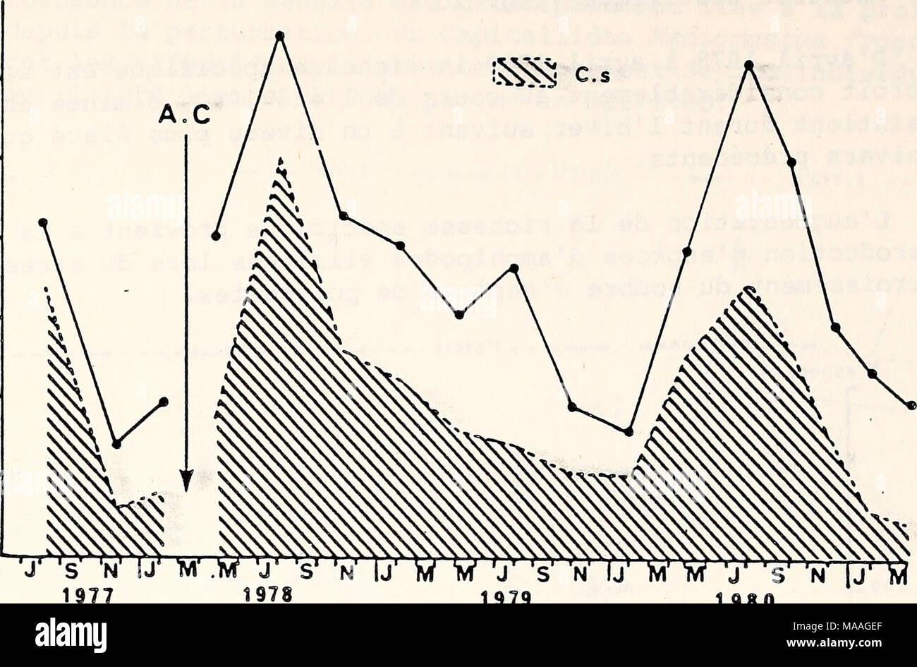 . Ecological study of the Amoco Cadiz oil spill : report of the NOAA-CNEXO Joint Scientific Commission . 1979 1 980 Figure 11 - Peuplement des vases sableuses Ã Abra alba - Melinna palmata : Ã©volutiot de la densitÃ© totale d'aoÃ»t 1977 Ã mars 1981 avec mise en Ã©vidence de la part de Chaetozone setosa (C.s.) (A.C. : dÃ©but de la pollution par les hydrocarbures de 1'&quot;Amoco Cadiz&quot;). Au cours du second cycle, la densitÃ© redevient voisine de celle du cycle normal, puis augmente Ã nouveau durant le troisiÃ¨me cycle : 3724 individus par m2; cette derniÃ¨re valeur s'explique par le haut n Stock Photo