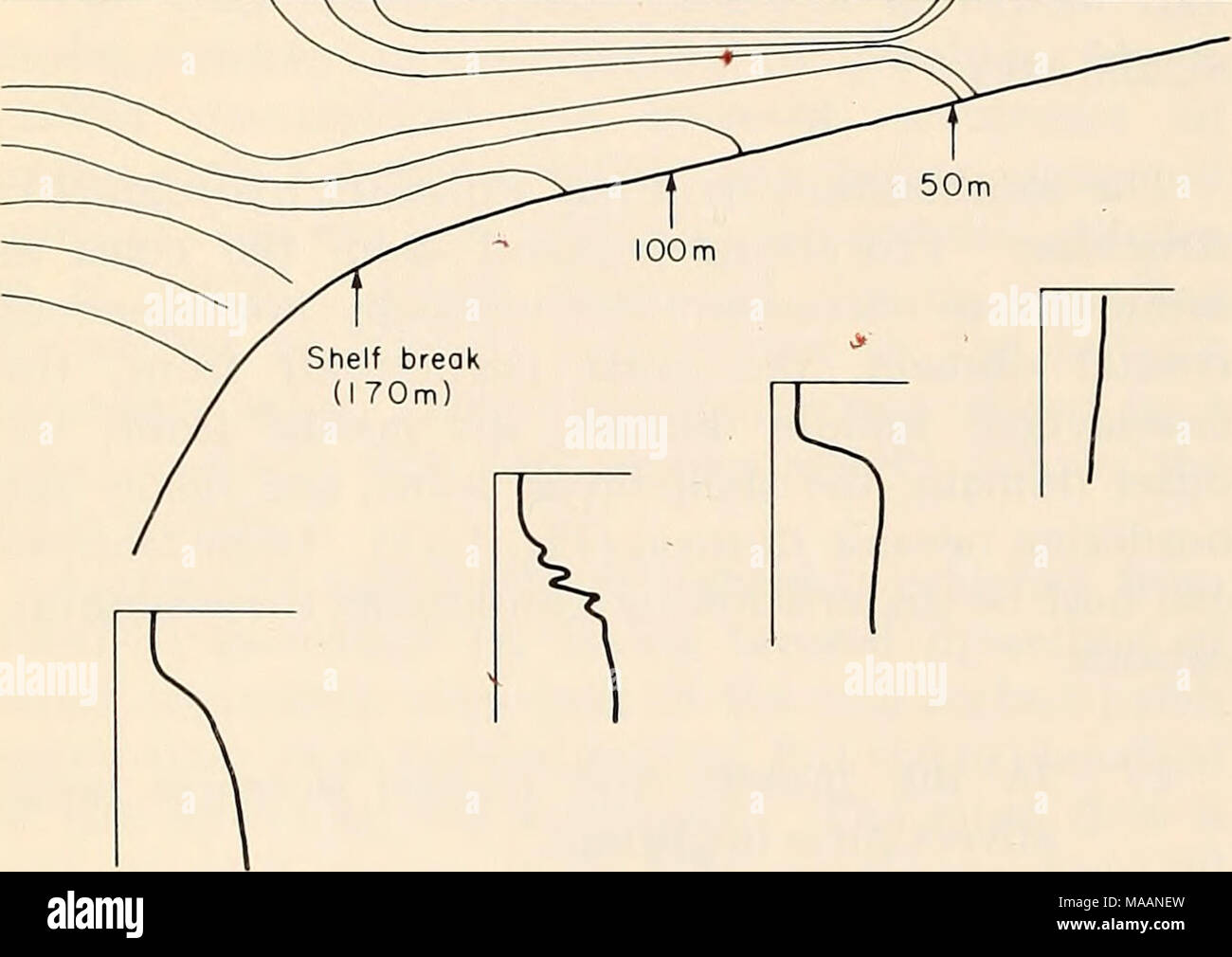 . The Eastern Bering Sea Shelf oceanography and resources / edited by