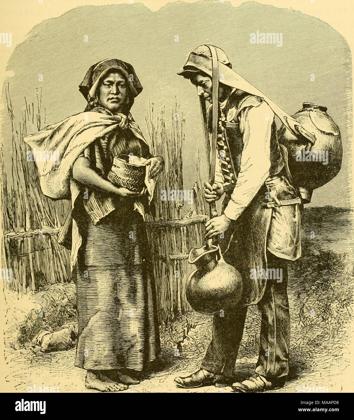 Bolson de mapimi hires stock photography and images Alamy