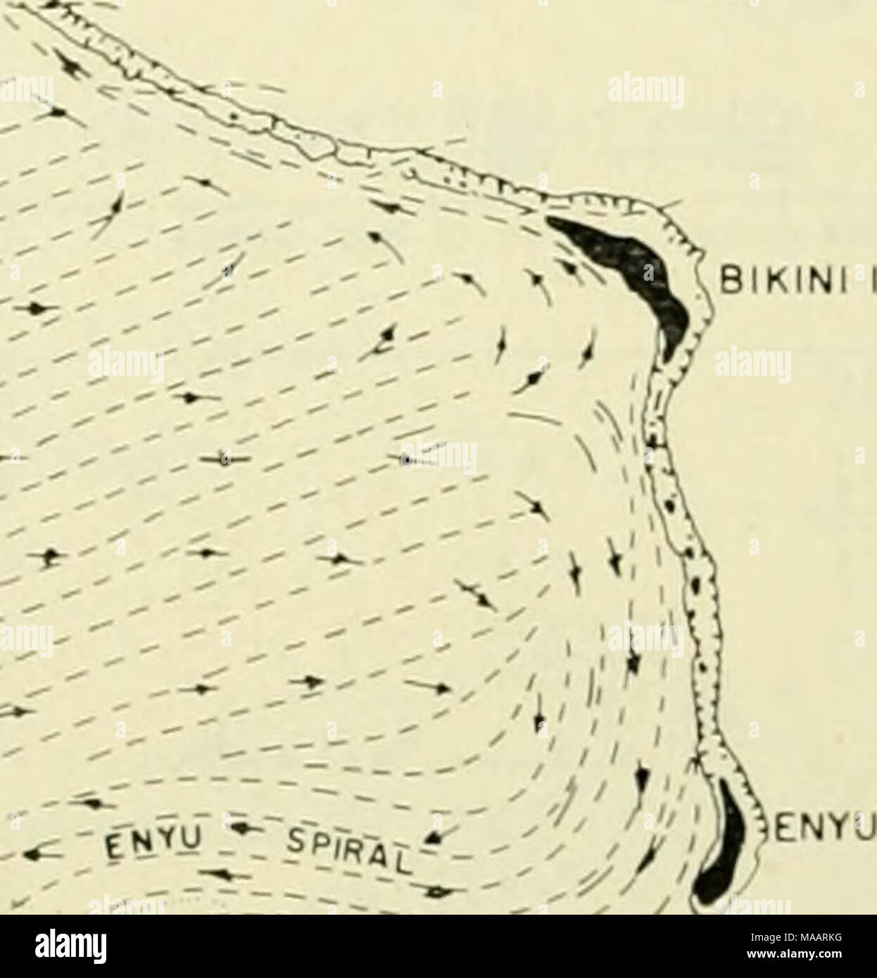 . The Earth beneath the sea History . y ^'ââ Â» â ENYU CHANNEL
