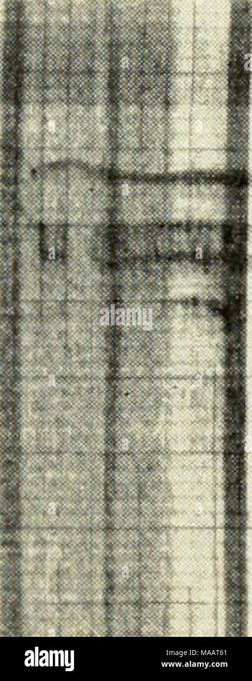 . The Earth beneath the sea : History .  k 2 4 6 8 10 APPROX. SCALE NAUTICAL MILES 12 - ! 7.0 s.d Fig. 15. A portion of a profile about 150 miles bearing 256°T from Bermuda, over abyssal hills on the Bermuda Rise. Source : 25,000 joule sparker Receiver: 40 ft, 5-element hydrophone array Towing speeds: vary from 4 knots to 7 knots Analysis filter: 150-300 c/s band-pass Stock Photo