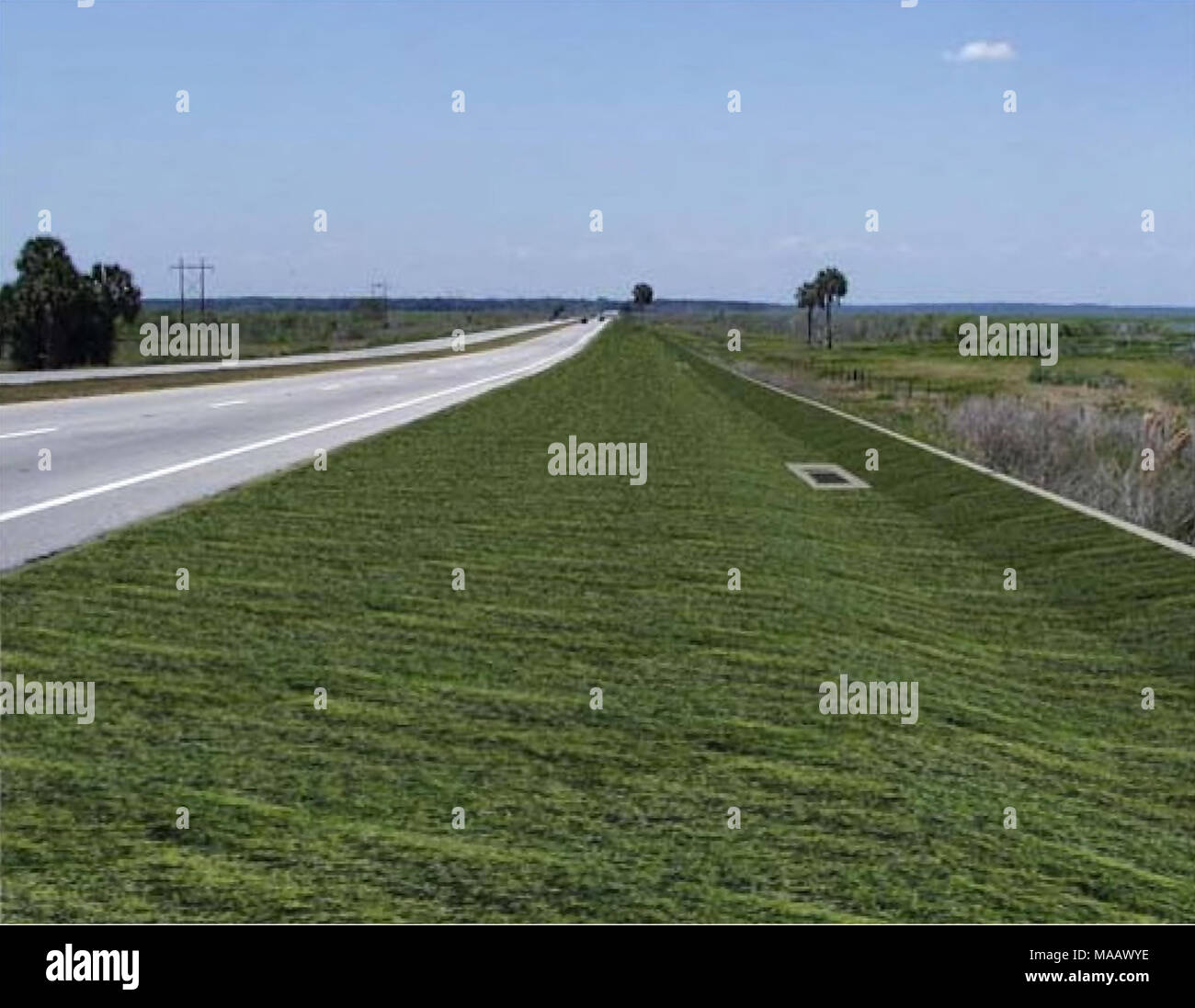 Road mortality mitigation for turtles Turtle Island Road mortality mitigation for turtles Turtle Island