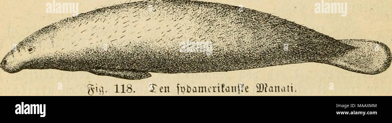 Cuffer High Resolution Stock Photography And Images Alamy