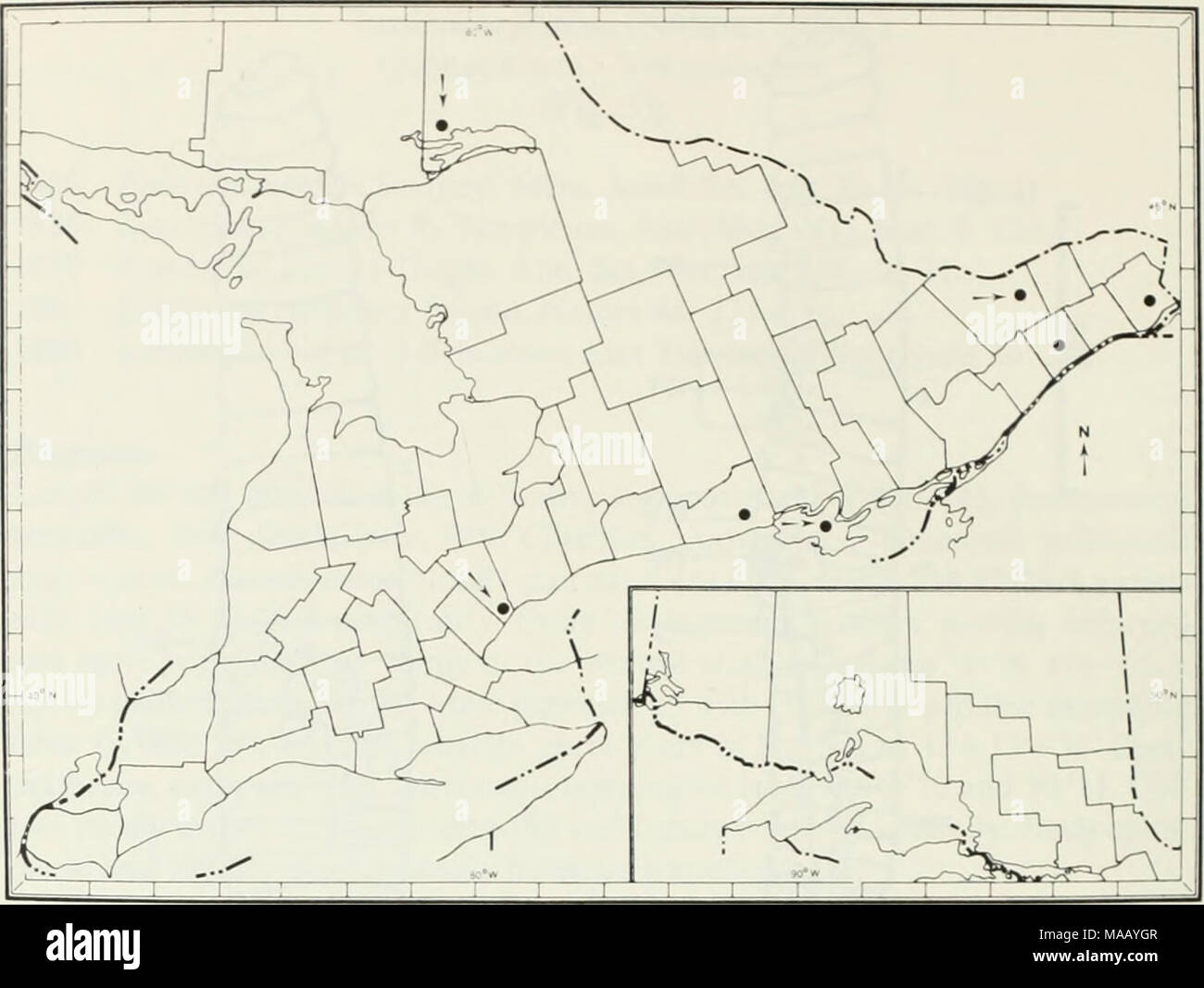 . The earthworms (lumbricidae and sparganophilidae) of Ontario . Fig. 31 The known Ontario distribution of Lumbncus festivus. CARLETON CO. *Ottawa-Carleton Rd 35, 2.42 km s of Leonard, under logs, 11 May 72. JWR. 1- 1-0. DUNDAS CO. *Hwy 31, 3.55 km n of Morrisburg, under lumber, 11 May 72, 0-1-0. GLEN- GARRY CO. *Hwy 34, 11.13 km n of Lancaster, under log, 11 May 72, 1-0-0. *Hwy 34. 5.65 km n of Alexandria, under log, 11 May 72, JWR, 0-0-1. NIPISSING DIST. *Hwy 17. 1.29 km e of Ver- ner, under paper in wet ditch, 13 May 72, JWR &amp; JEM, 2-1-0. NORTHUMBERLAND CO. *Hwy 45. Baltimore, under jun Stock Photo